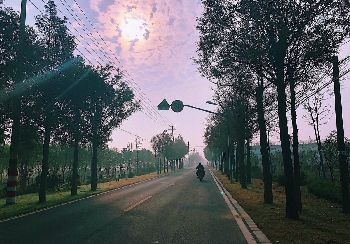 张马村乡村道路